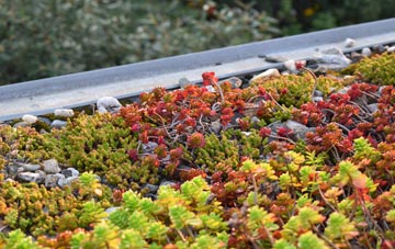 the cost of Carnmoney green roof installation