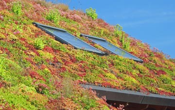 Carnmoney living roof systems