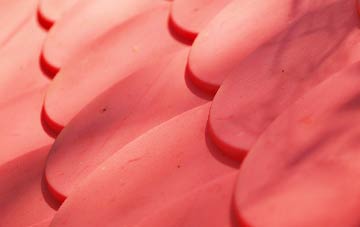 Carnmoney plastic roof costs