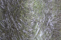 Carnmoney fibreglass roof work